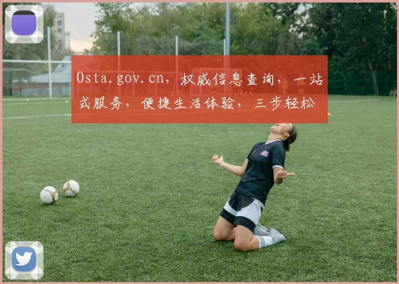 Osta.gov.cn，权威信息查询，一站式服务，便捷生活体验，三步轻松获取
