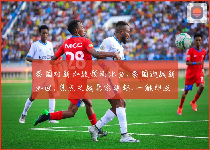 泰国对新加坡预测比分,泰国迎战新加坡,焦点之战悬念迭起,一触即发