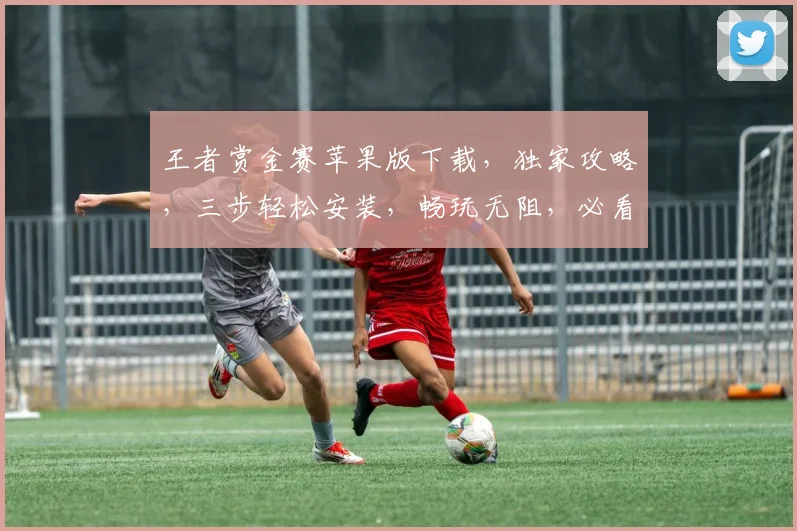 王者赏金赛苹果版下载，独家攻略，三步轻松安装，畅玩无阻，必看